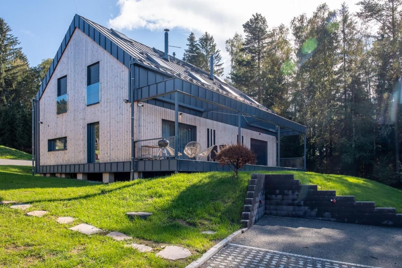 Holiday House U Hajenky 13P Lipno Home Lipno nad Vltavou Buitenkant foto