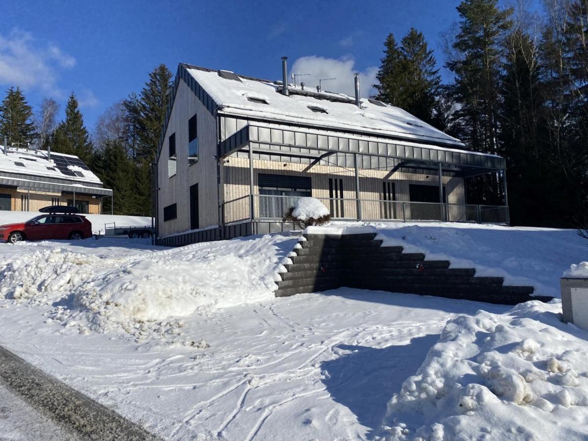 Holiday House U Hajenky 13P Lipno Home Lipno nad Vltavou Buitenkant foto
